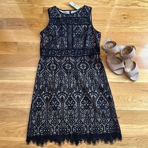 NWT LOFT black lace sheath dress. Size 4P